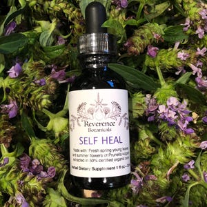 Self heal tincture, Self heal extract, Prunella vulgaris