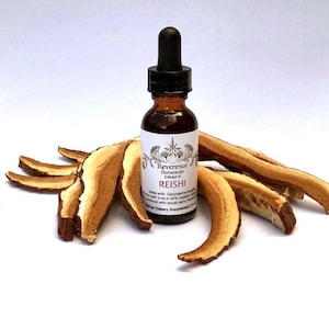 Reishi tincture, Fresh Reishi Mushroom extract, Ganoderma tsugae