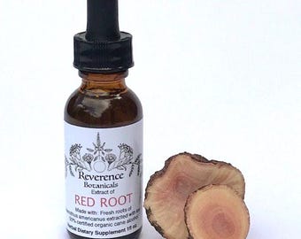 Red Root tincture, Fresh Red Root Tincture, Fresh Ceanothus americanus