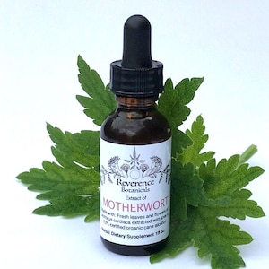 Motherwort tincture, Fresh Motherwort leaf and flower extract, Leonurus cardiaca
