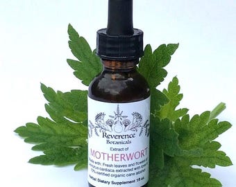 Mutterkraut-Tinktur, frischer Mutterkraut-Blatt und -Blütenextrakt, Leonurus cardioca