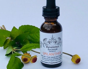 Spilanthes tincture, Fresh Spilanthes leaf and flower extract, Acmella oleracea