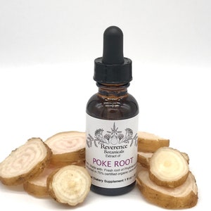 Poke Root tincture, Fresh Poke root extract, Phytolacca americana