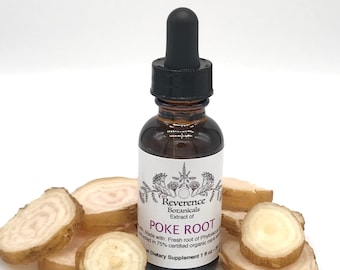 Poke Root tincture, Fresh Poke root extract, Phytolacca americana