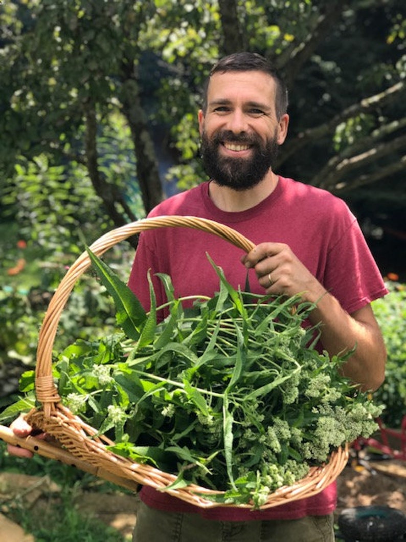 May include: A man with a beard holds a wicker basket full of fresh green leafy herbs.