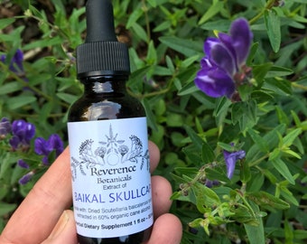 Baikal skullcap extract, Baikal skullcap extract, Scutellaria baicalensis tincture