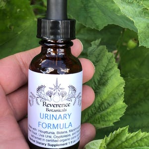 Könnte beinhalten: Eine braune Glasflasche mit schwarzer Pipette und weißem Etikett. Auf dem Etikett steht "Reverence Botanicals URINARY FORMULA" mit botanischen Illustrationen. Die Flasche enthält 30 ml pflanzliches Nahrungsergänzungsmittel.