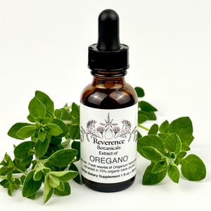 May include: A brown glass dropper bottle containing oregano extract with a black cap and a white label reading Reverence Botanicals Extract of OREGANO, noting 1 fl oz, surrounded by fresh green oregano leaves on a plain white background.