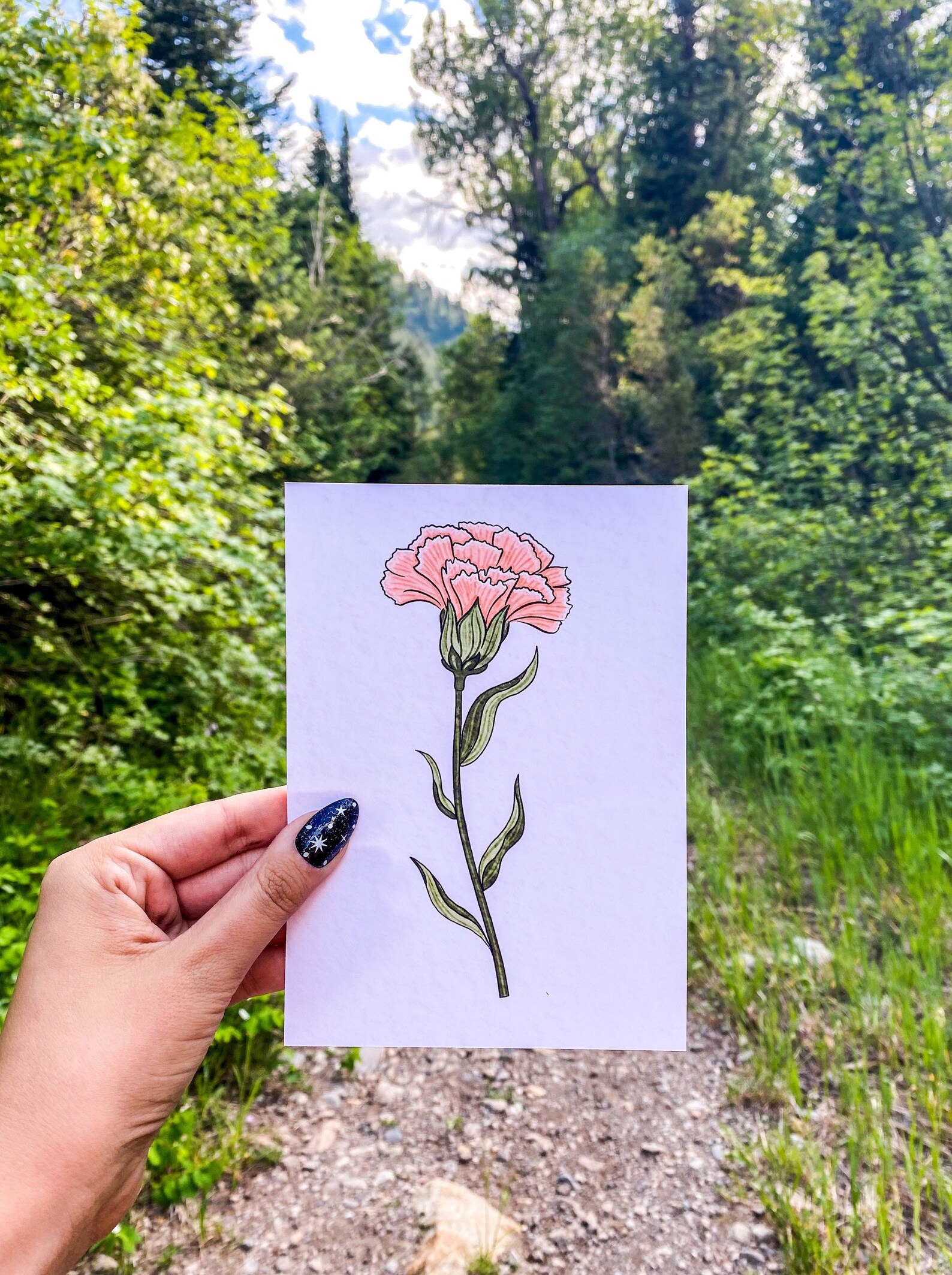 5x7 January Birth Flower Art Print Pink Carnation Etsy
