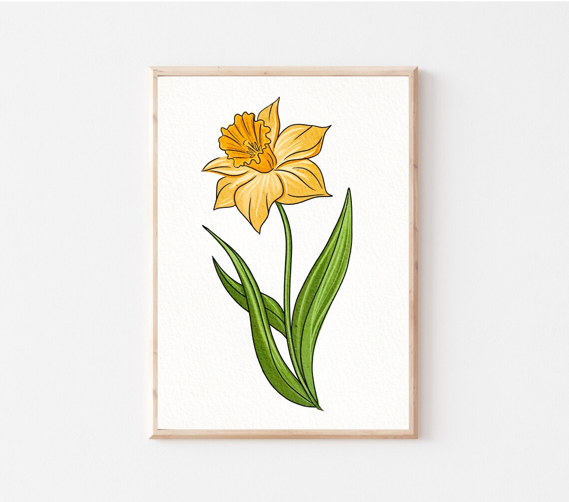 March Birth Flower Art Print Daffodil illustration wall Etsy