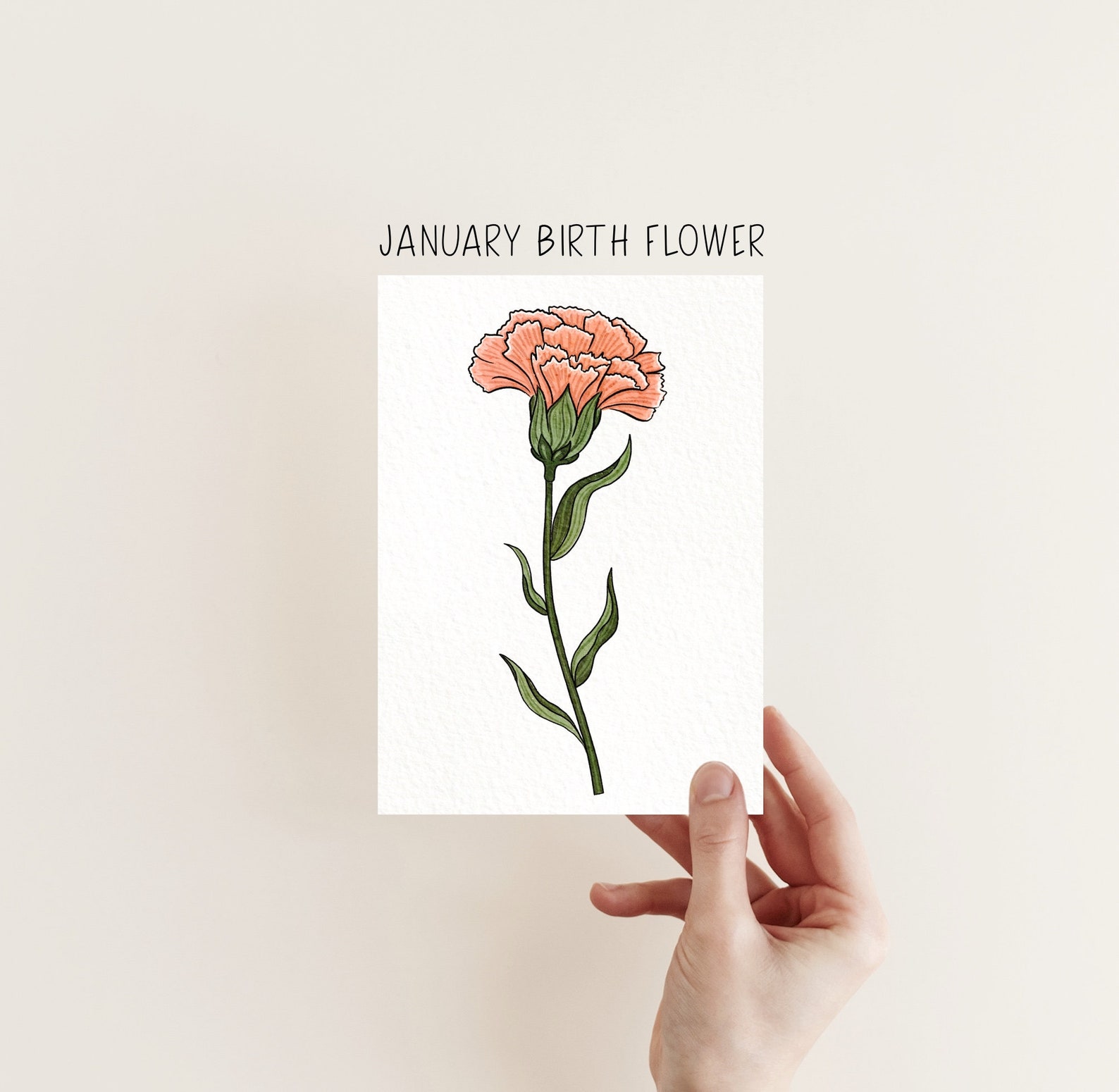 5x7 January Birth Flower Art Print Pink Carnation Etsy