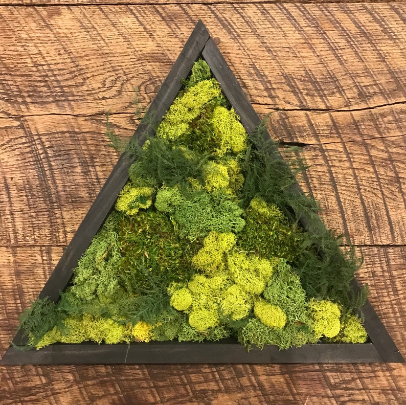 Moss Wall Green wall art Preserved moss Preserved plant | Etsy