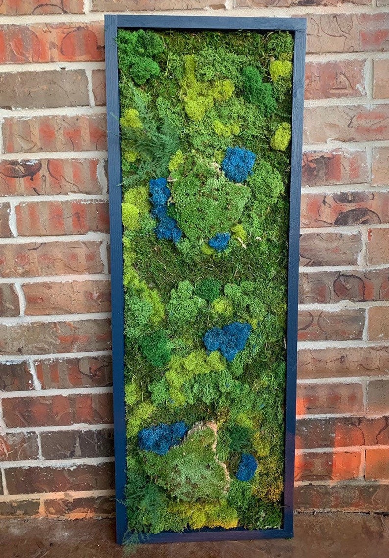 Moss Wall Green wall art Preserved moss Preserved plant Etsy