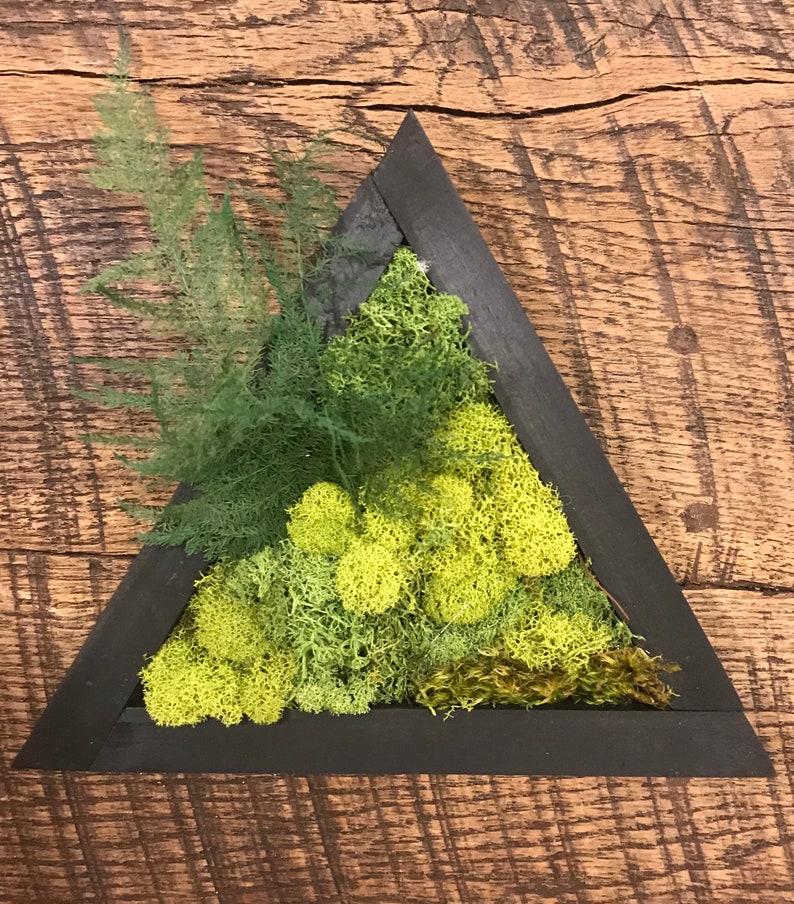 Moss Wall Green wall art Preserved moss Preserved plant | Etsy