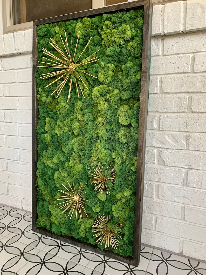 Moss Wall Green wall art Preserved moss Preserved plant | Etsy