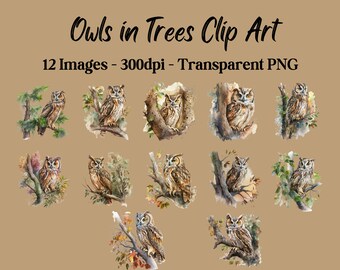 Aquarel uilen in bomen illustraties, 12 transparante PNG-afbeeldingen, 300 dpi, commercieel gebruik toegestaan
