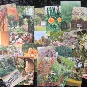25 x Botanical Paper Cut Outs, ideal for Junk Journals, Scrapbooks and other Paper Crafts, Collage, Mixed Media Crafts