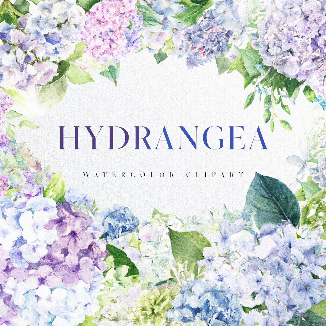 Purple Blue Hydrangea Bouquet Watercolor Clipart, Floral Clipart
