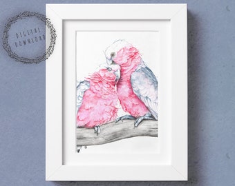Galahs - Australian birds, Pink Cockatoo, Parrot, Digital printable wall art bird poster, Watercolor illustration, digital print