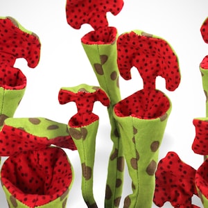 Pitcher Plant - Carnivorous PDF Sewing Pattern • Digital Download • Botanical Push Toy