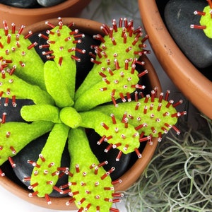 Sundew - Carnivorous Plant PDF Sewing Pattern • Digital Download • Botanical Push Toy