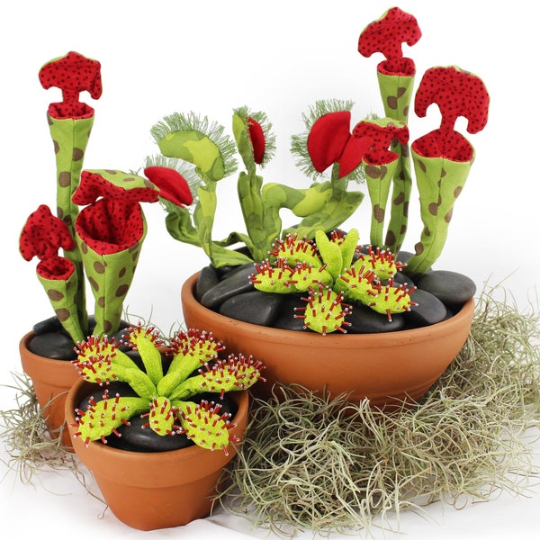 Carnivorous Plant Pack PDF Sewing Pattern • Flytrap, Pitcher Plant & Sundew • Digital Download • SET OF 3 • Botanical Push Toy