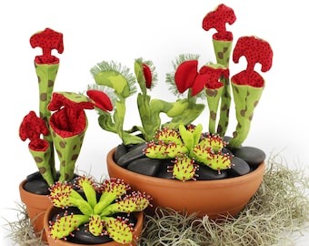 Carnivorous Plant Pack PDF Sewing Pattern • Flytrap, Pitcher Plant & Sundew • Digital Download • SET OF 3 • Botanical Push Toy