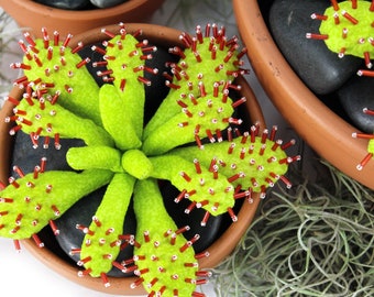Sundew - Carnivorous Plant PDF Sewing Pattern • Digital Download • Botanical Push Toy