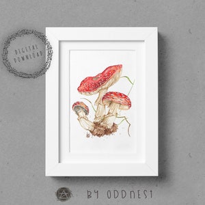 Red Mushrooms - Fly Agaric Fungi, Digital Download, Printable wall art botanical poster, Watercolor illustration print