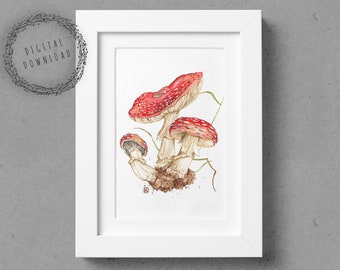Red Mushrooms - Fly Agaric Fungi, Digital Download, Printable wall art botanical poster, Watercolor illustration print