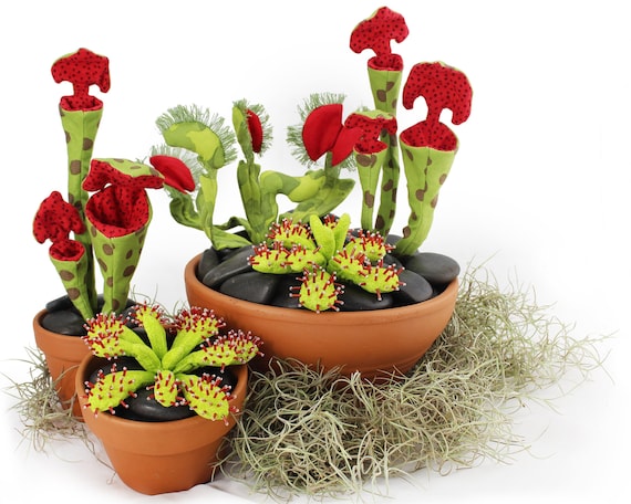 フラワーオブライフ۞8869　3点セット Carnivorous Plant Plush Sewing Pattern • Flytrap, Sundew, Pitcher