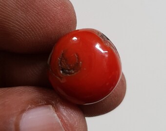 Italian Red Coral Cabochon: 9.90 Carat Gemstone for Jewelry Making