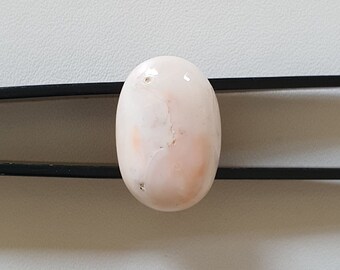 Natural Japanese Coral Cabochon: Smooth Oval Gemstone (18.5X12.5MM)