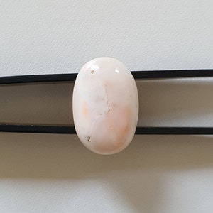 Beautiful Coral Cabochon Natural Japanese Coral Gemstone Cabochon Smooth 18.5X12.5MM Oval White Coral High Quality Coral For Jewelry Making