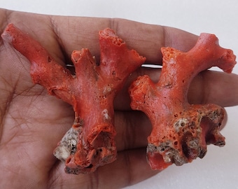 Undyed Italian Raw Reef Red Coral Branch Pair Mediterranean Sea Rough Coral Jewelry Making