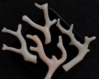 Natural Coral Branch Pieces: Pinkish White Undyed Reef for Jewelry Making