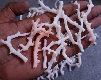 50 Pieces White Coral Unpolished Branches - Natural Japanese Undyed Coral-making surfer necklace.