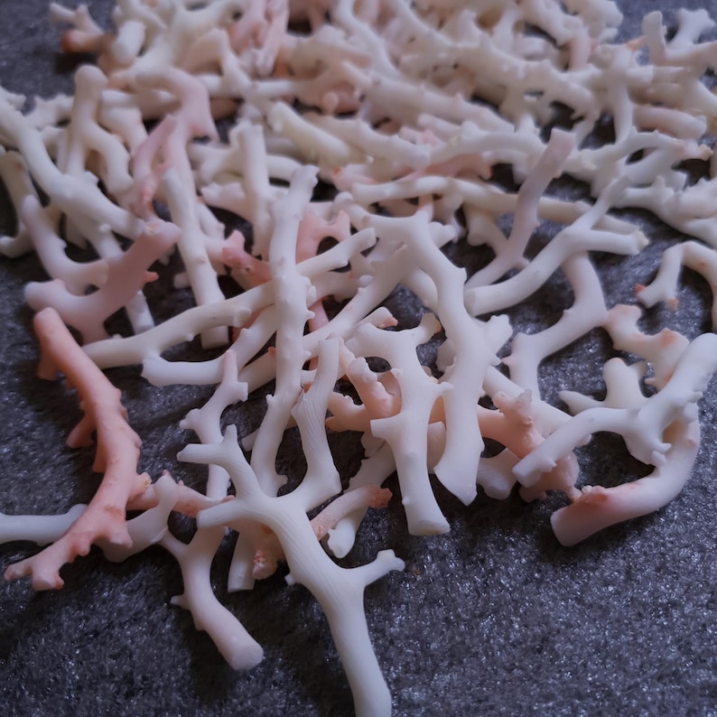 May include: A pile of white and pink coral branches. The coral is natural and has a rough texture.