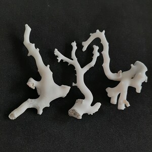 May include: White coral branch with multiple branches and intricate details. The coral is a natural material and has a delicate, organic shape.