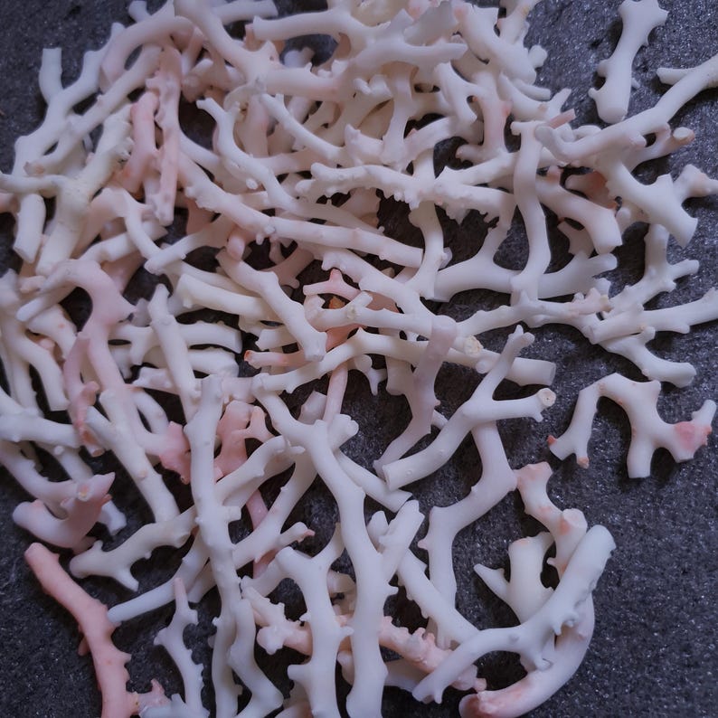 May include: A pile of white and pink coral branches. The coral is natural and has a rough texture.