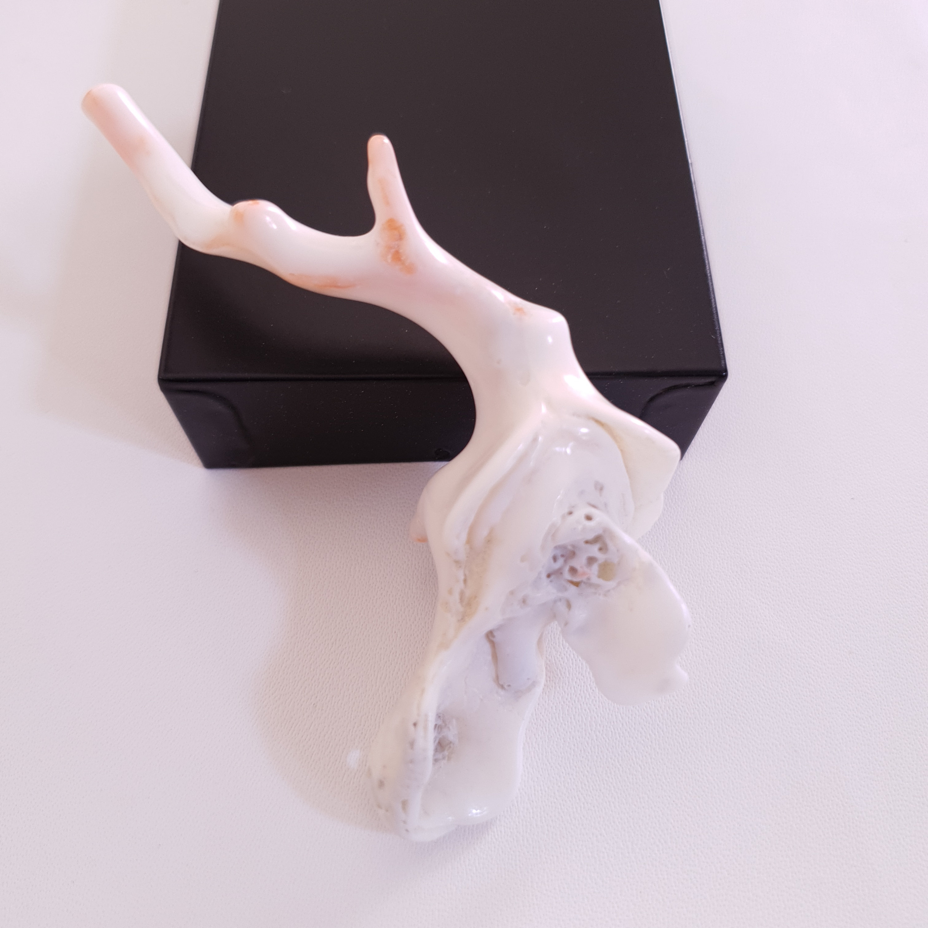 Branche De Corail Blanc Naturel Japonais - 25 Carats - 2 Pièces - Neuf Sans Emballage