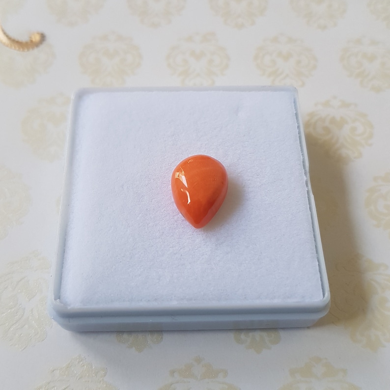 100/%Natural Italian coral shape pear 12X9X5mm Mediterranean Coral Gemston Cabochon