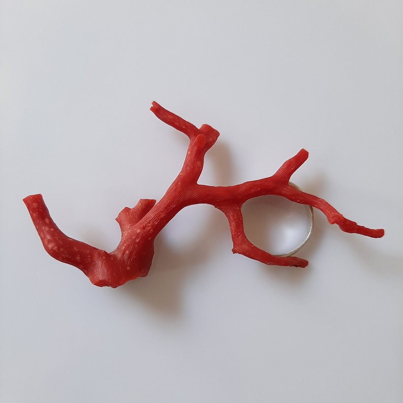 May include: A red coral branch with a silver ring attached. The coral is a natural material and has a rough texture.