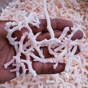 May include: A handful of white and pink coral branches. The coral is delicate and has a natural, organic look.