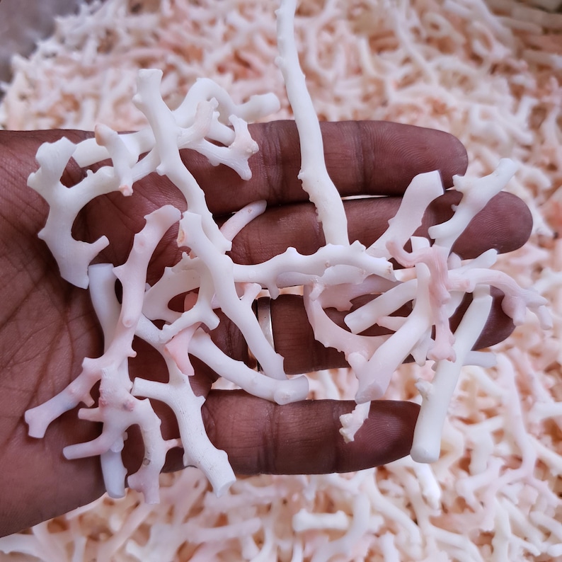 May include: A handful of white and pink coral branches. The coral is delicate and has a natural, organic look.