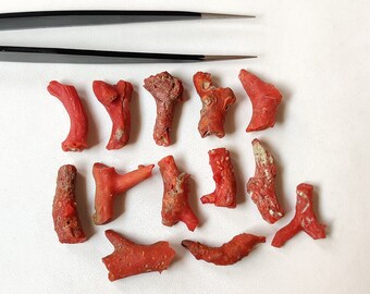 Italian Red Coral Rough: Unpolished Mediterranean Reef Jewelry Pieces