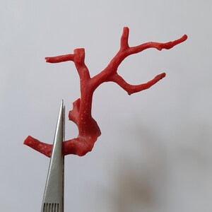 May include: A red coral branch with a unique shape, resembling a tree or a branch. The coral is a natural material and has a rough texture.