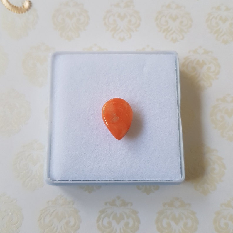 100/%Natural Italian coral shape pear 12X9X5mm Mediterranean Coral Gemston Cabochon