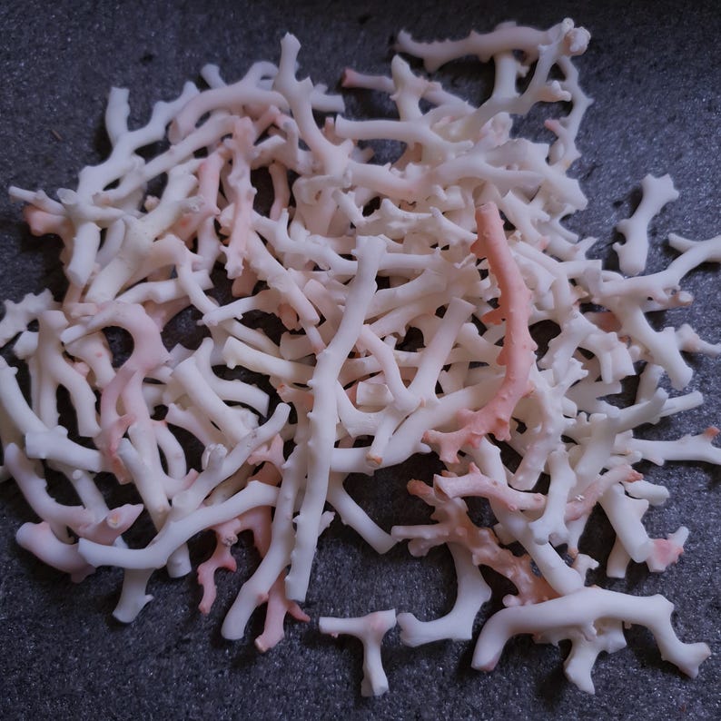 May include: A pile of white and pink coral branches. The coral is a natural material and has a rough texture.