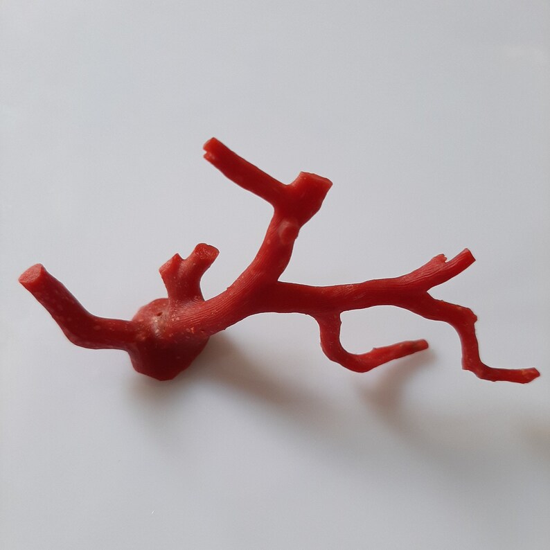 May include: A red coral branch with multiple branches and a textured surface.